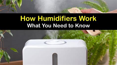 Image result for How a Humidifier Helps