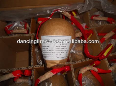 Image result for 8 Inch Firework Shell