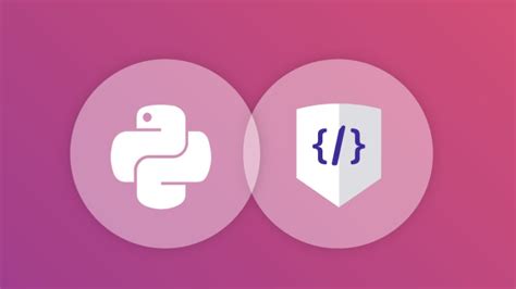 Image result for Python Script to Get the Snyk Report