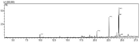 Life | June 2023 - Browse Articles