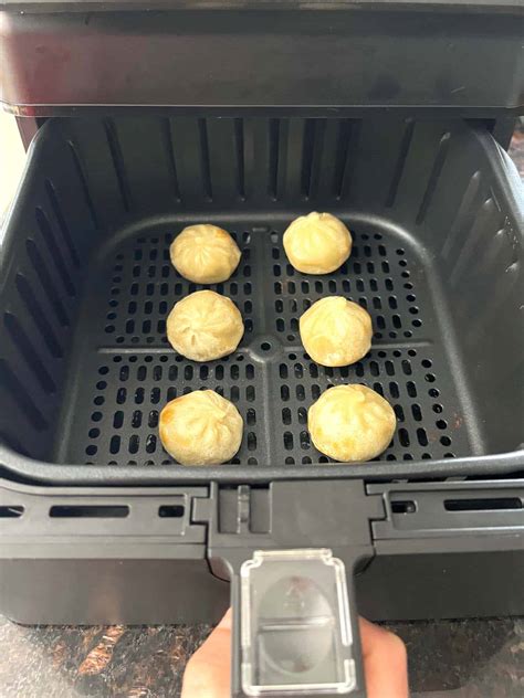 Frozen Bibigo Steamed Dumplings In Air Fryer (Perfect Results ...