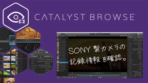 Catalyst Browse Tutorial 的图像结果