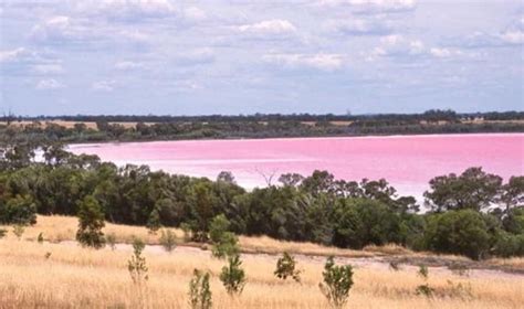 THE 10 BEST Places to Visit in Dimboola (2026) - Must-See Attractions