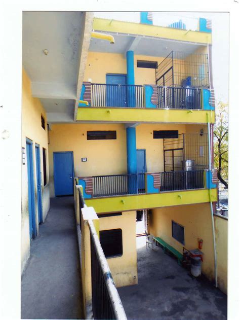 Institute information: MDD Trust