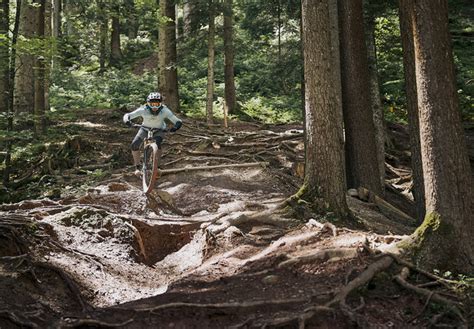 Lines & Trails | Bikepark Leogang