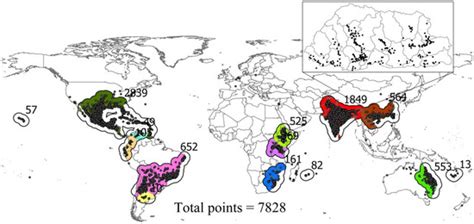 Plants | Special Issue : Plant Invasions across Scales
