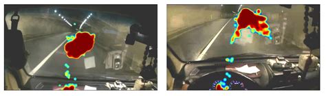Use of Pupil Area and Fixation Maps to Evaluate Visual Behavior of ...