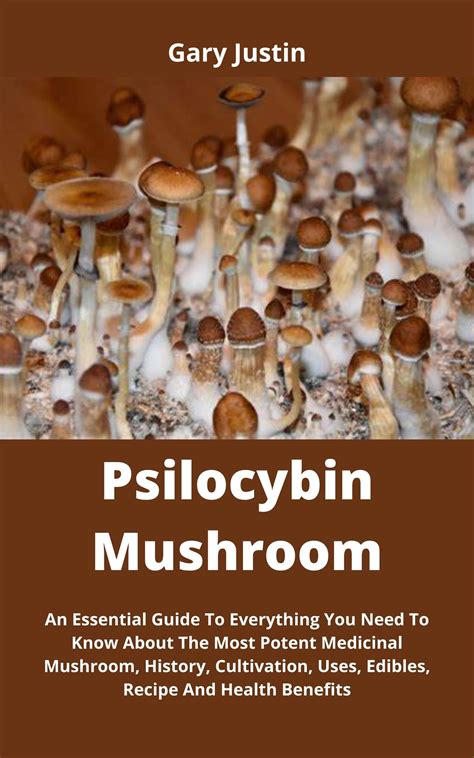 Buy Psilocybin Mushroom: An Essential Guide To Everything You Need To ...
