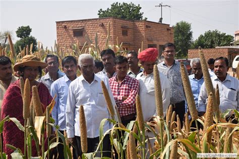 ICAR-AICRP on Pearl Millet