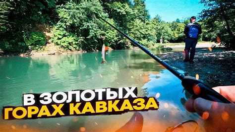 Рыбалка на форель. Ловля форели в горной реке Кавказа - YouTube