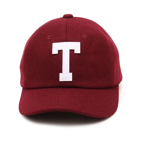 THE NORTH FACE TNF Logo Flannel Cap アルパインプラム （ザ・ノース・フェイス TNF ロゴ フランネル ...