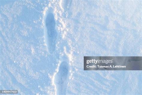 Image result for Snow Runner Step Sides