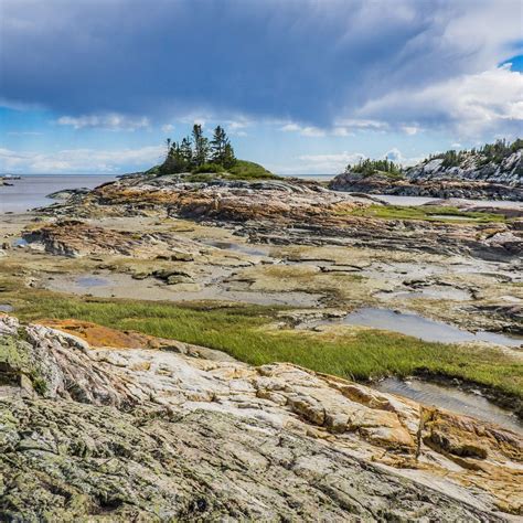 VIEUX QUAI DE RAGUENEAU (2026) All You Need to Know BEFORE You Go (with ...