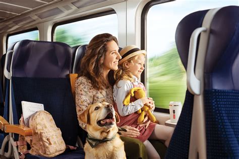 Are Dogs Allowed On Amtrak Trains