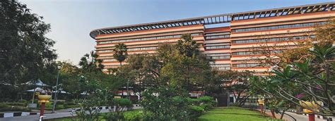 Department of Metallurgical and Materials Engineering