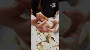 Image result for Baby Hatching Python