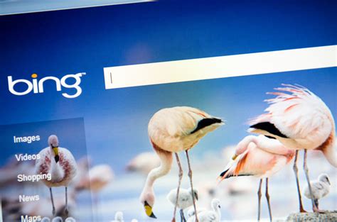 Images Created by Bing Image Creator 的图像结果