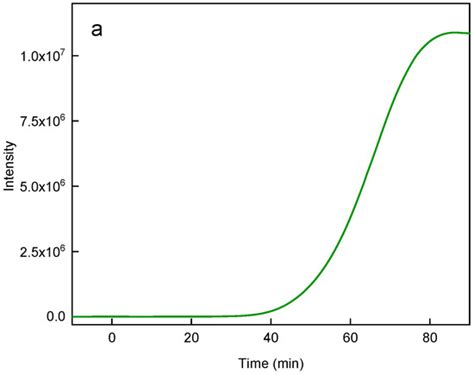 Cytotoxicity Evaluation of Photosensitizer-Conjugated Hexagonal ...