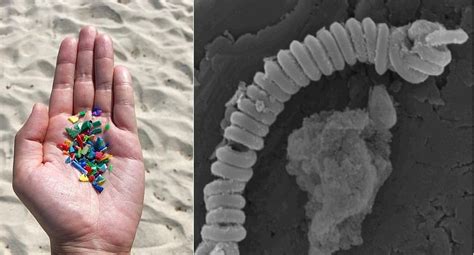 Researchers Have Created Nanosprings To Break Down Microplastics ...