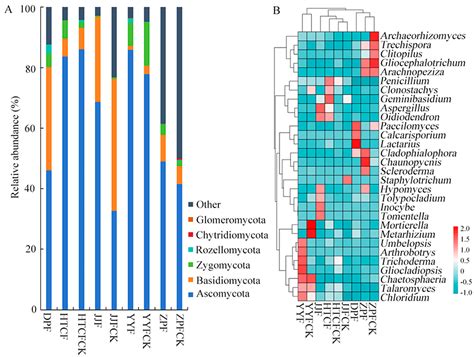 Soil Fungal Diversity and Community Structure of Russula griseocarnosa ...