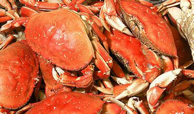 Nehalem Bay Crab Derby has a cutting twist -- a chance to win a free ...