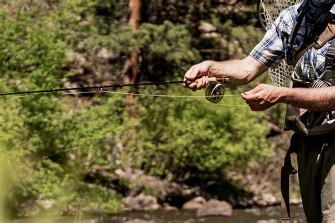 Image result for Beginner Fly Rod