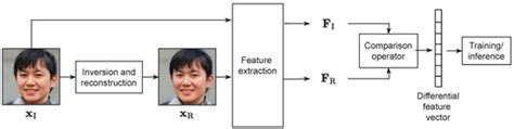 Identifying Synthetic Faces through GAN Inversion and Biometric Traits ...