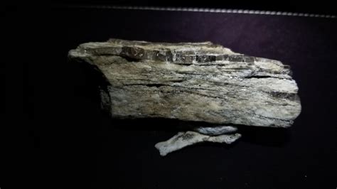 Looks like some sort of sedimentary rock with layers of quartz. Anybody know what it is? : r ...