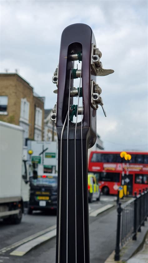 Landscape SWB STD AVC Electric Upright Bass – The Bass Gallery