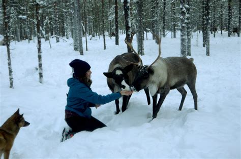 Карелия: зимний биологический семейный лагерь