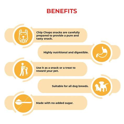 Chip Chop Banana Chip Twined With Chicken 70g - Pack Of 6 – ShakeHands