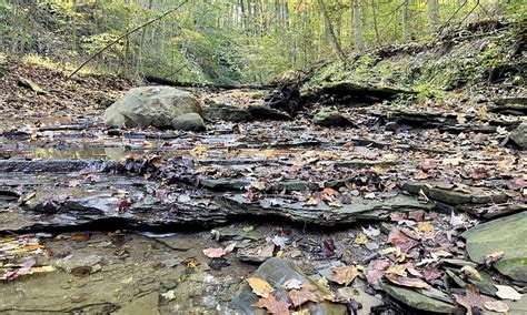 Hiking for the Young at Heart , Brecksville Nature Center, 28 May 2024 ...