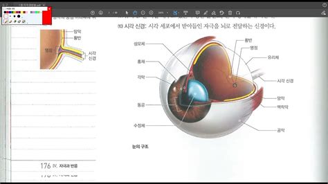 Image result for Alien Lens Sunglasses