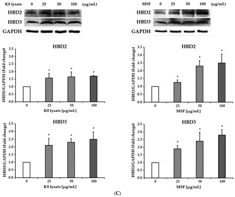 MSF Enhances Human Antimicrobial Peptide β-Defensin (HBD2 and HBD3 ...