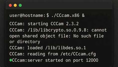 Image result for Setup Cccam Server