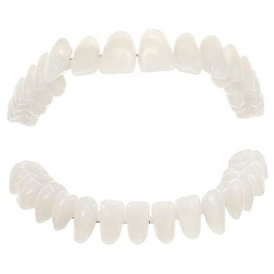 SOLUSTRE Teeth 3D Model 1 Set Model Dental Models for India | Ubuy