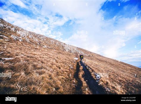 Outdoor Activity 的图像结果