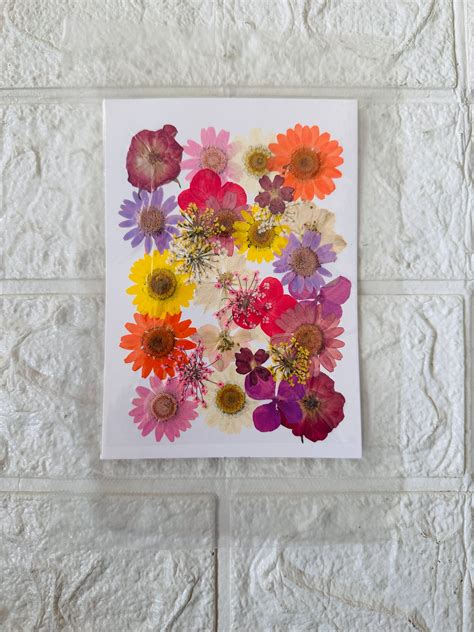 30 in 1 Pressed Dry Flower – Jinalresinstudio