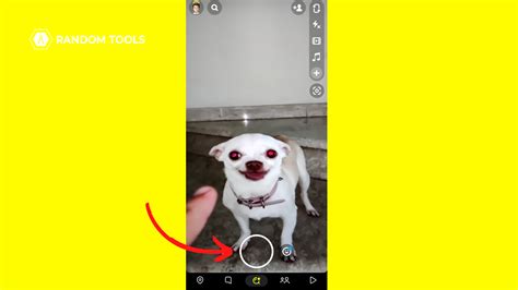 How to Reverse a Video on Snapchat? - Random Tools Blog