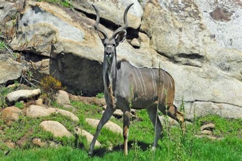 Gustav Klingbiel Nature Reserve, Escarpment