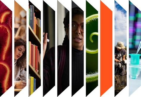 Image result for Institutional Method