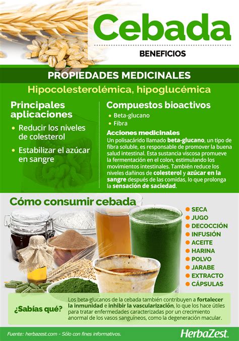 Cebada | HerbaZest