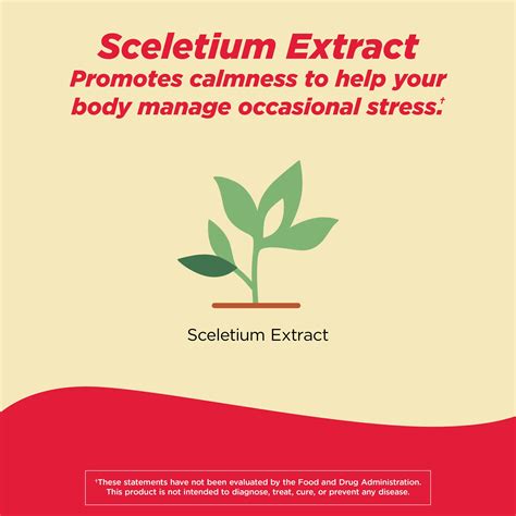 TYLENOL® Proactive Support* Muscle & Joint + Stress