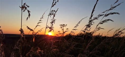 Qigong, Meditation and the Magic of the Breath Autumn Equinox Workshop ...