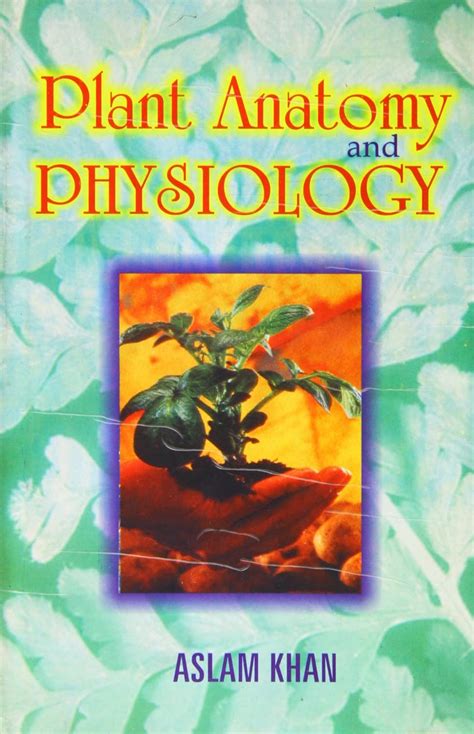 Buy Plant Anatomy and Physiology Book Online at Low Prices in India ...