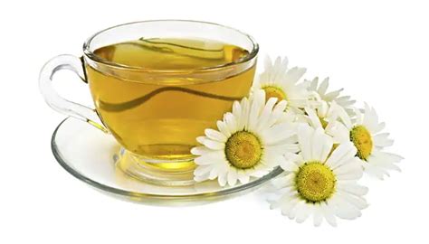 do you know these amazing health benefits of chamomile tea Taming ...