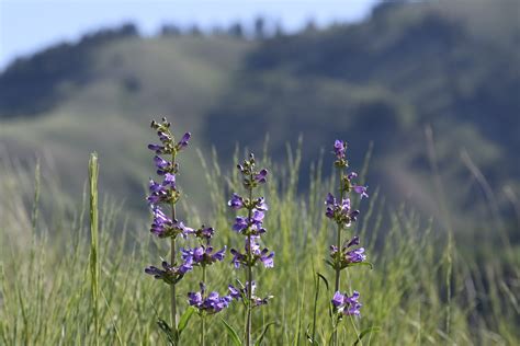 What Does Eric Mean? - Figure out what Eric means when he talks about ...