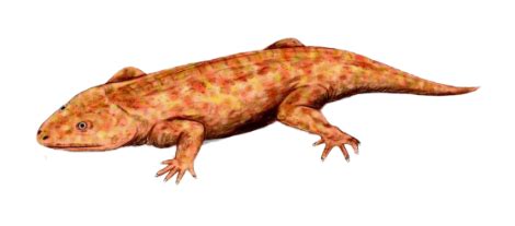 Origin of Life: Top Theories Explained