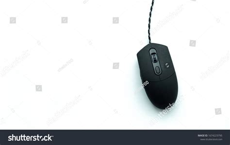 Image result for Computer Mouse Top View