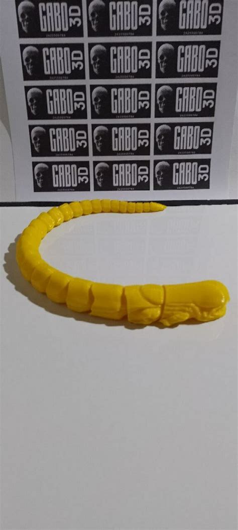 Image result for Alien Chest